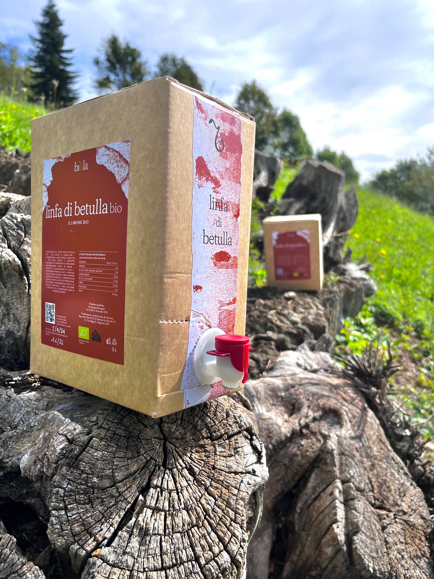 Linfa di betulla Bio e limone 3l