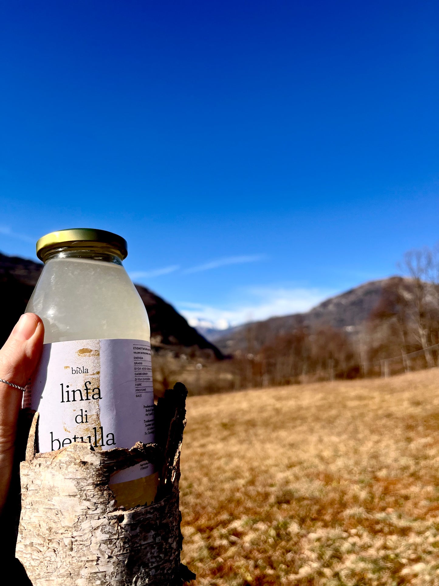 Linfa di betulla al limone