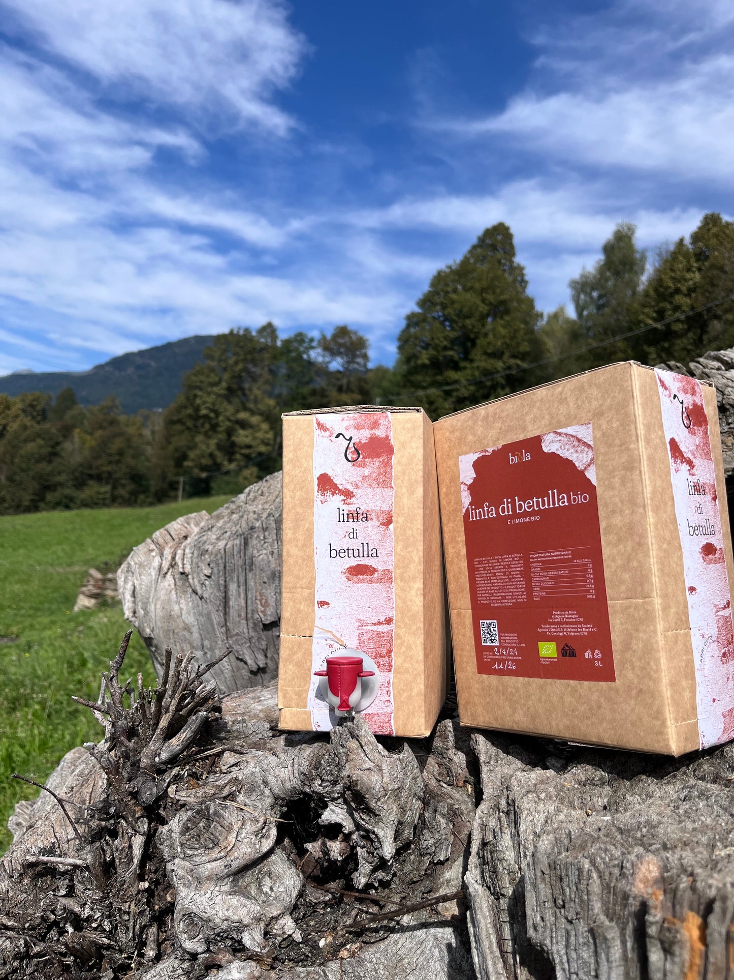 Linfa di betulla Bio e limone 3l