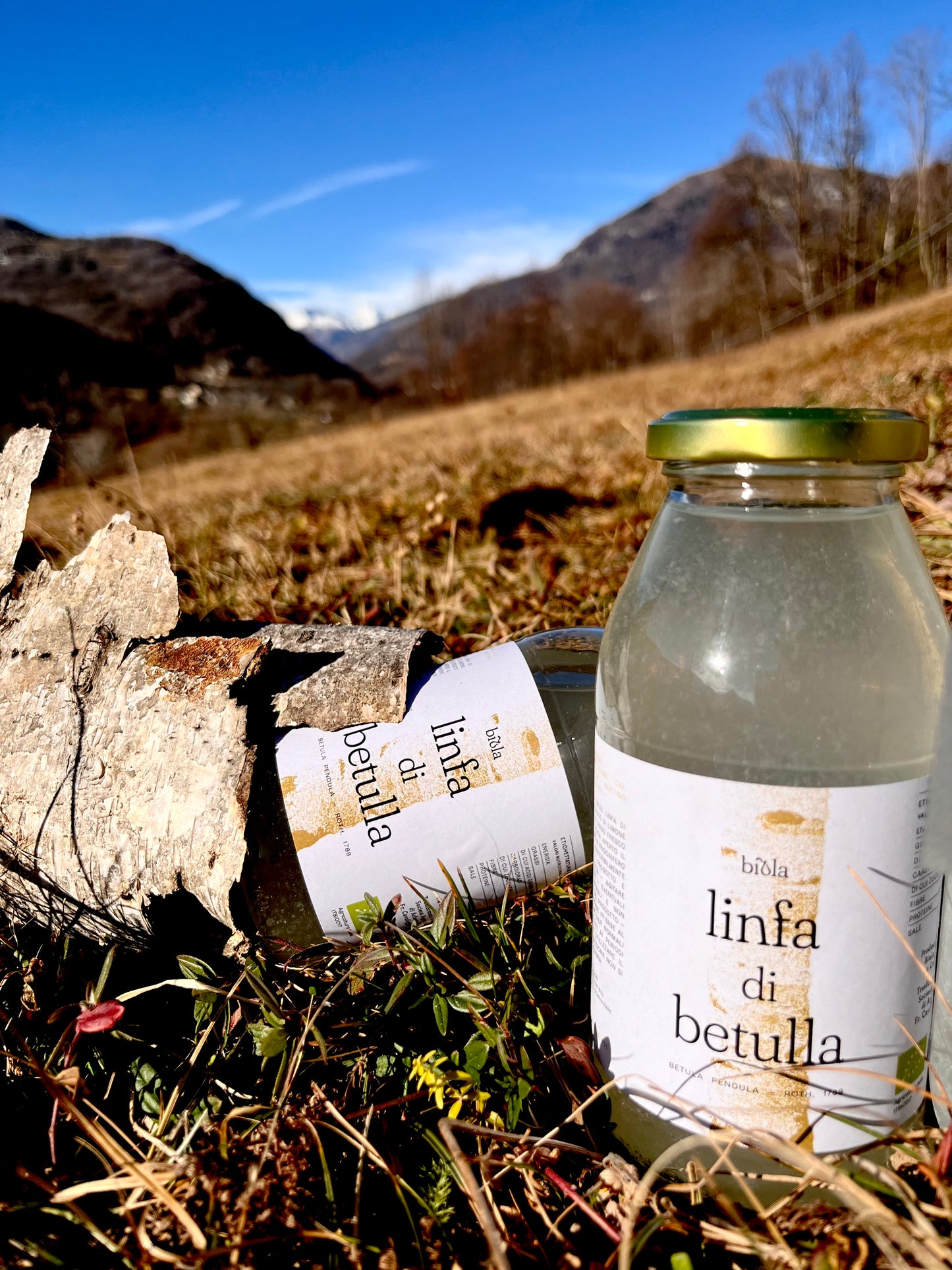 Linfa di betulla al limone