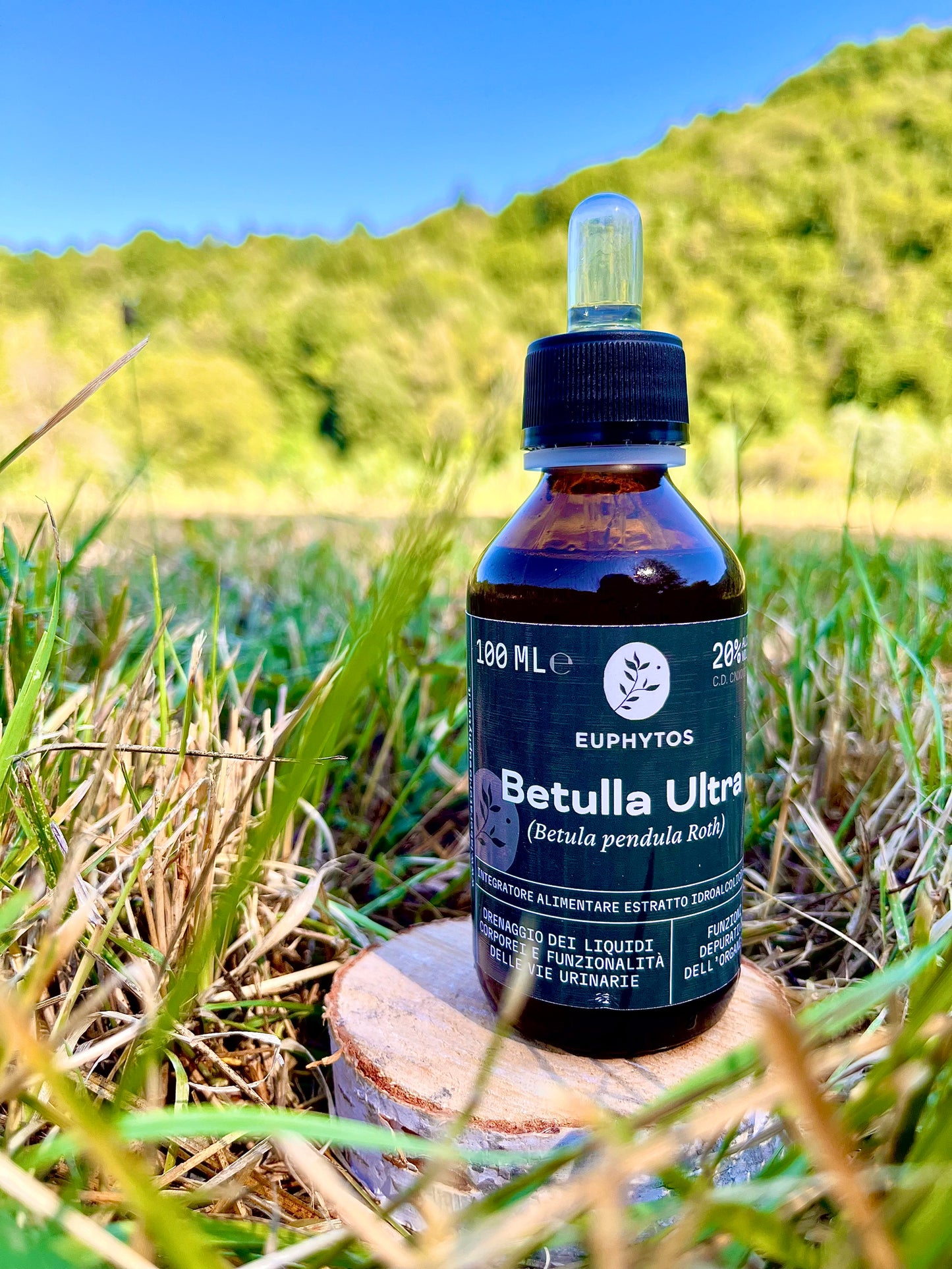 Ultra Betulla