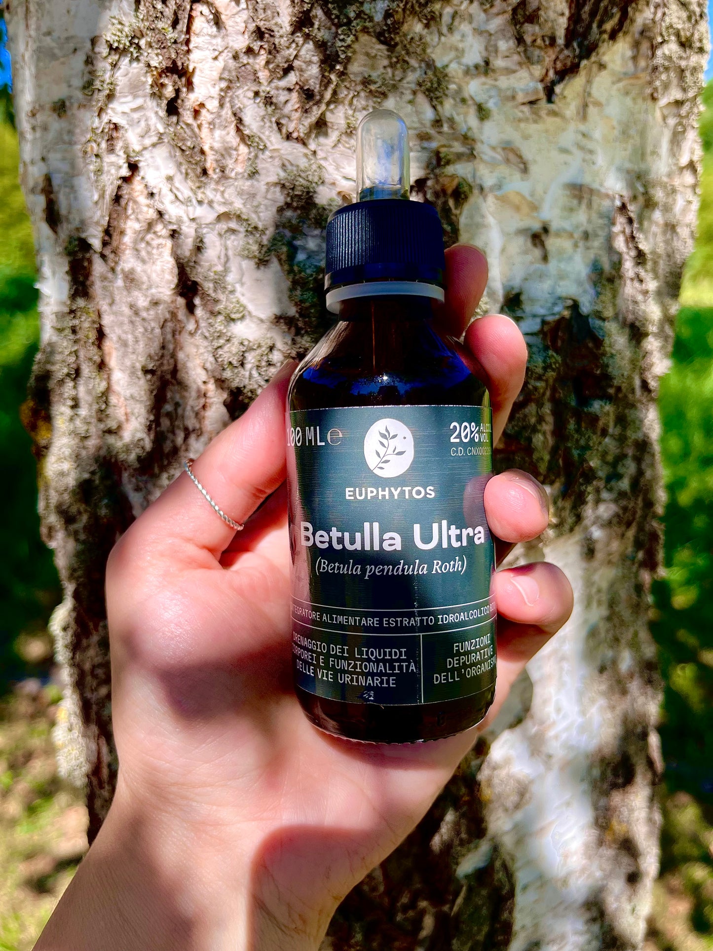Ultra Betulla
